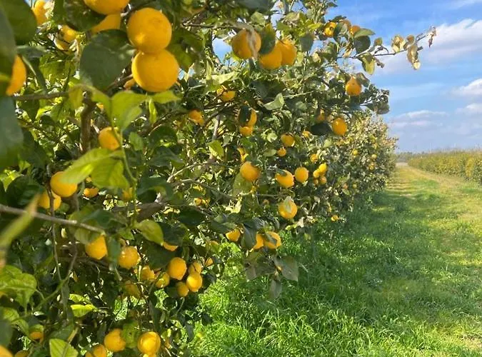 Daire Le Scuderie 7 *