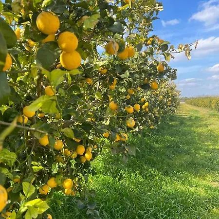 شقة Le Scuderie 7 *